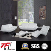 2014 Modern Leather Sofa Jfs-5