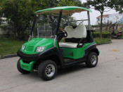 2014 New Model Electric Golf Cart