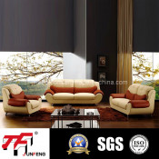 2014 Newest Design Leather Sofa Jfs-9