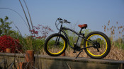2015 Hot Sale 500W 48V Electric Fat Tire Bike with Lithium Battery