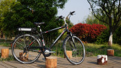 250W 36V Cool Man Electric Bicycle for European