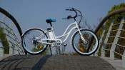 250W 36V High Speed Electric Beach Cruzer for Lady