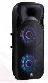 2X 15'' 2-Way Plastic Active Speaker Box with USB SD PS-32215fbt (LED)