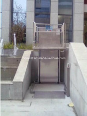 300kg Capacity Home Lift