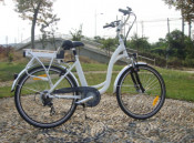 36V 250W Cheap Electric Bike for Sale