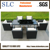 6 Seater Outdoor Tables/Chairs (SC-B8894)