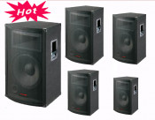 8"/10"12/15" 2 Way Passive PA Speaker Box (PW-8A)