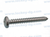 A2 Pan Head Self Tapping Screw