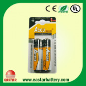 AA Size Carbon Battery