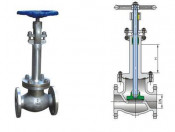American Standard Cryogenic Globe Valve