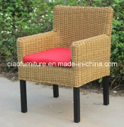 Arm Chair with Powder Coated Feet
