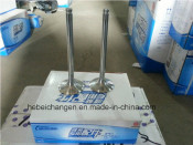 Auto Engine Parts Air Intake Valve/Exhaust Valve