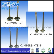 Auto Parts Engine Valve for Commins Cummins Nt855 6CT Nh250