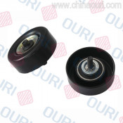 Auto Parts Idle Pulley for Ford (OEM 95WF19A216AC)