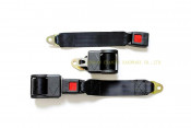 Automatic 2-P Seat Belts