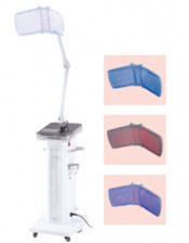 Beauty Equipment /Photodynamic Therapy Machine (F-2010-3A)