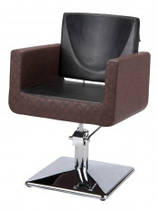 Beauty Salon Furniture Barber Chair (MY-011)