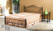 Bedroom/Home Furniture Metal Painting Bed (603#)