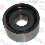 Belt Pulley for Peugeot, FIAT (OEM 0818.23 500328902)