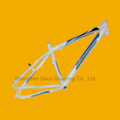 Bike Frame, Bicycle Frame Tim-FM904