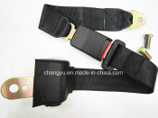 Car Safety Belts 2 Points Polyester Seat Belt (CY206B-2)