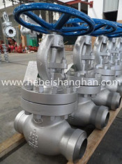 Cast Steel 3" 1500lb Globe Valve