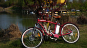Cheap High Quality Red Disc Brake Man Beach Cruzer