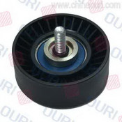 China Idle Pulley for Peugeot (OEM 5751.76)