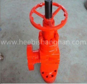 Choke Valve