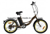 City E Bike with Lithium Battery (TDN06Z-1217)