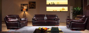 Classcal Designed Leather Sectional Sofa Furniture (N806)