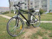 Classic 36V 250W Cheap Electric Dirt Bike for Sale