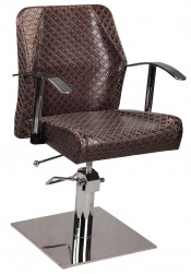 Classical Salon Styling Chairs with Stainless Steel Frame (MY-007-50)