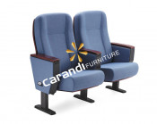 Commercial Meeting Furniture Auditorium Chair (Rd8601)