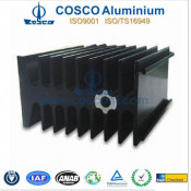 Customized Black Anodized Aluminum/Aluminium Radiator (REACH 155)