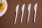 Cutlery Disposable Cutlery Plastic Cutlery