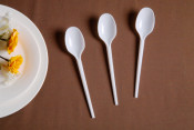 Cutlery Plastic Cutlery Plastic Spoon PS Cutlery Disposable Cutlery