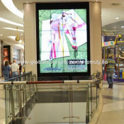 Digital Signage: 1000 Series 55 Inch Indoor Display Manufacturer with FCC and CE Certificate (BQL-1055-JSNB/LED)
