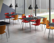 Dining Table and Chair (FLY-T14SS&FLY-01SS)