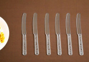 Disposable Knife Plastic Knife PS Knife