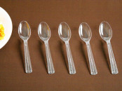 Disposable Spoon PS Spoon Plastic Spoon