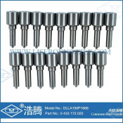 Dlla150p1666 0433172022 China Bosch Auto Replacement Nozzle for Great Wall Hover & Wingle