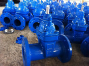 Dn100 Dark Rod Sealing German Standard F5 Gate Valve
