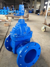 Dn100 German Standard F5 Dark Rod Sealing Gate Valve