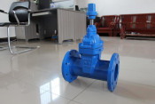 Dn100German Standard F5 Dark Rod Sealing Gate Valve