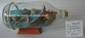 Drift Glass Bottle Wooden Decoration Marine Gifts (DA107)