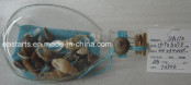 Drift Glass Bottle Wooden Decoration Marine Gifts (DA112)