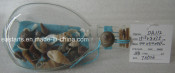 Drift Glass Bottle Wooden Decoration Marine Gifts (DA112)