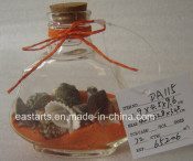 Drift Glass Bottle Wooden Decoration Marine Gifts (DA115)