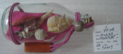 Drift Glass Bottle Wooden Decoration Marine Gifts (DF108)